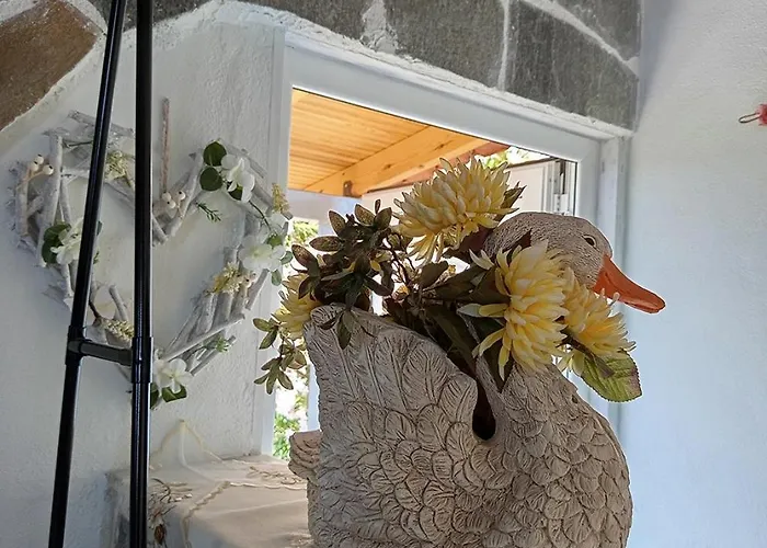 Blue Paradise Karianí