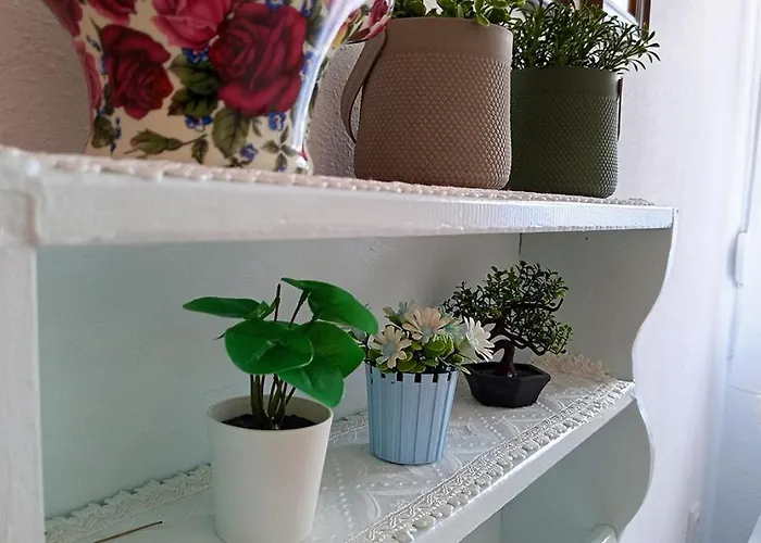 Blue Paradise